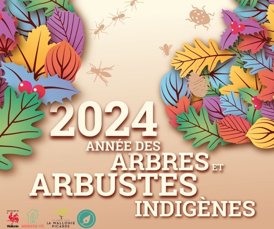 Distribution des arbres 2024