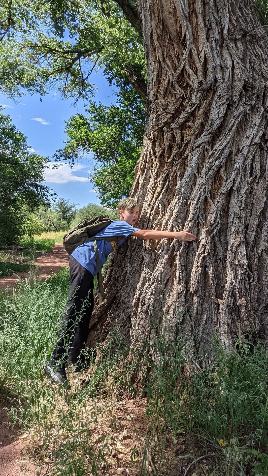 Tree Hugger Club  Palo Verde