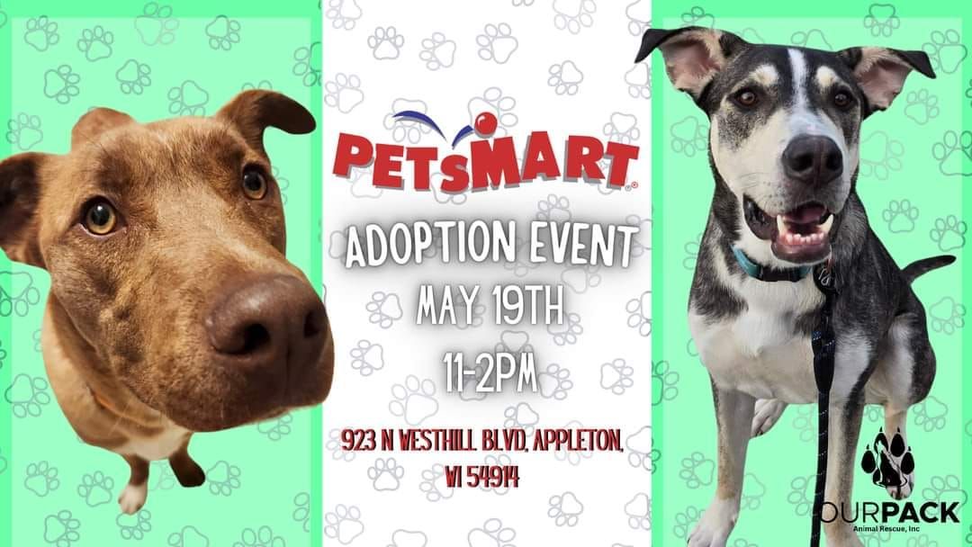 Our Pack Adoption Event at Appleton Petsmart 5\/19