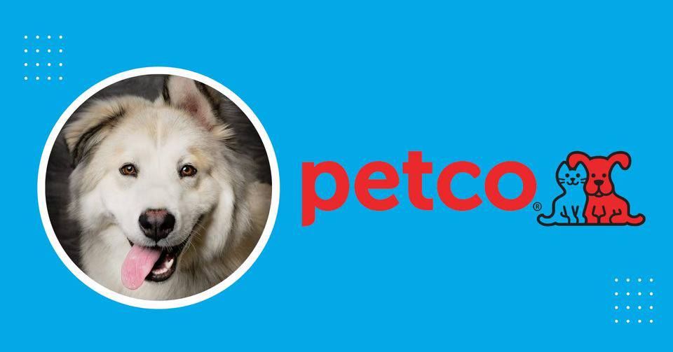 Watauga Petco Adoption Event