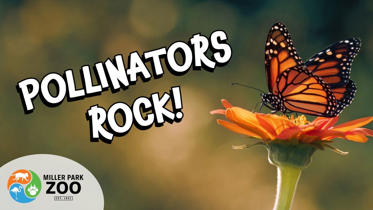 Pollinators Rock!