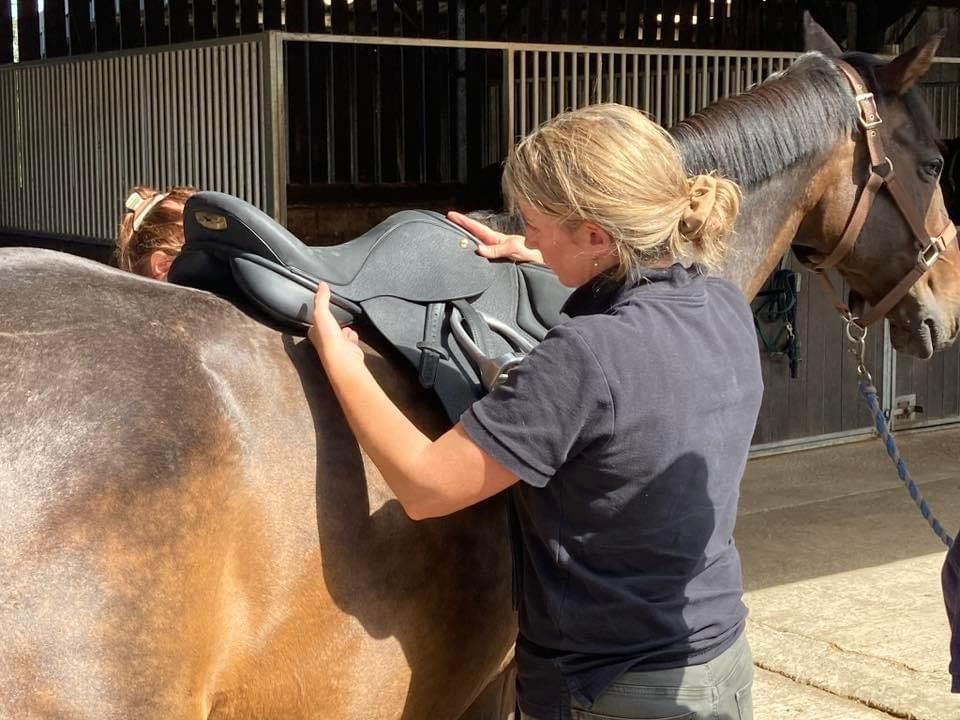 Saddle Fitting for Therapists