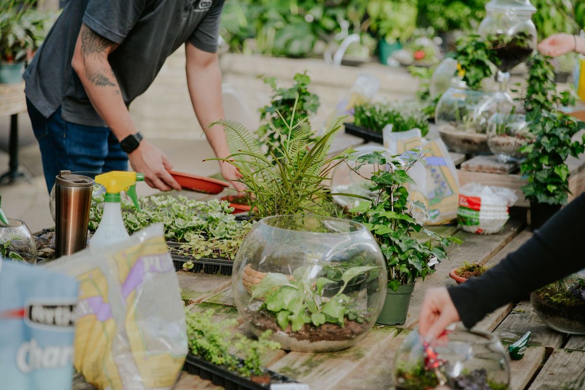 Terrarium Class