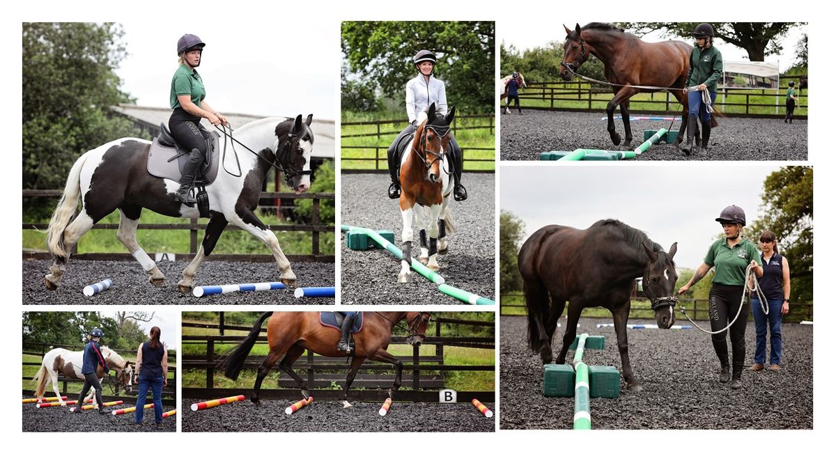 EquiStable\u2122Physio Led In Hand & Ridden Polework Clinic