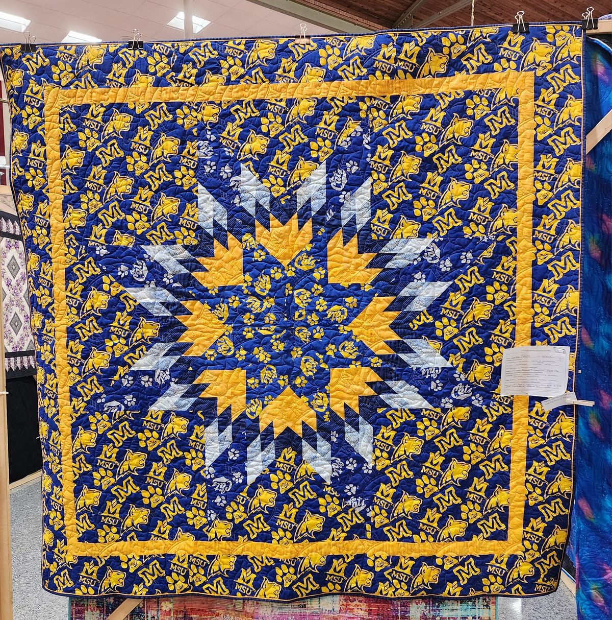 Camp Star Quilt Class