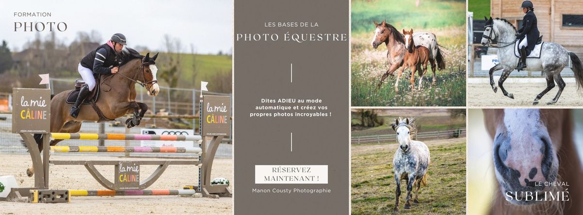 Formation "Les bases de la Photo \u00e9questre"