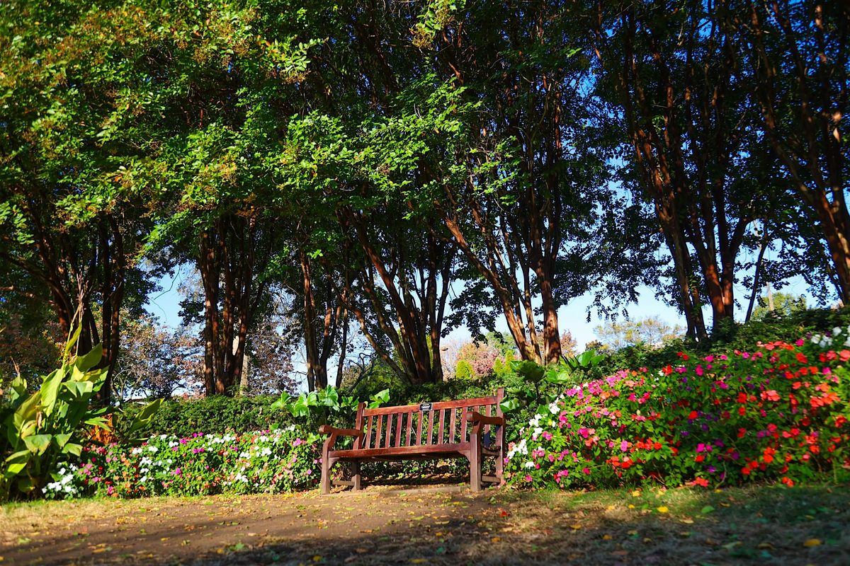 Swiftie Meet-up at Centennial Park