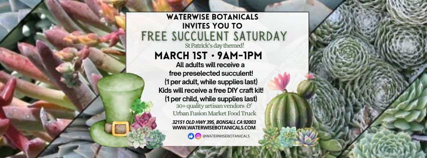 Free Succulent Saturday March 1st 2025