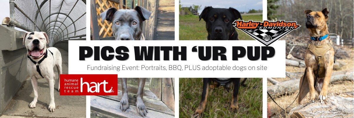 hart \u2022 Humane Animal Rescue Team Fundraiser BBQ & Pet Portraits