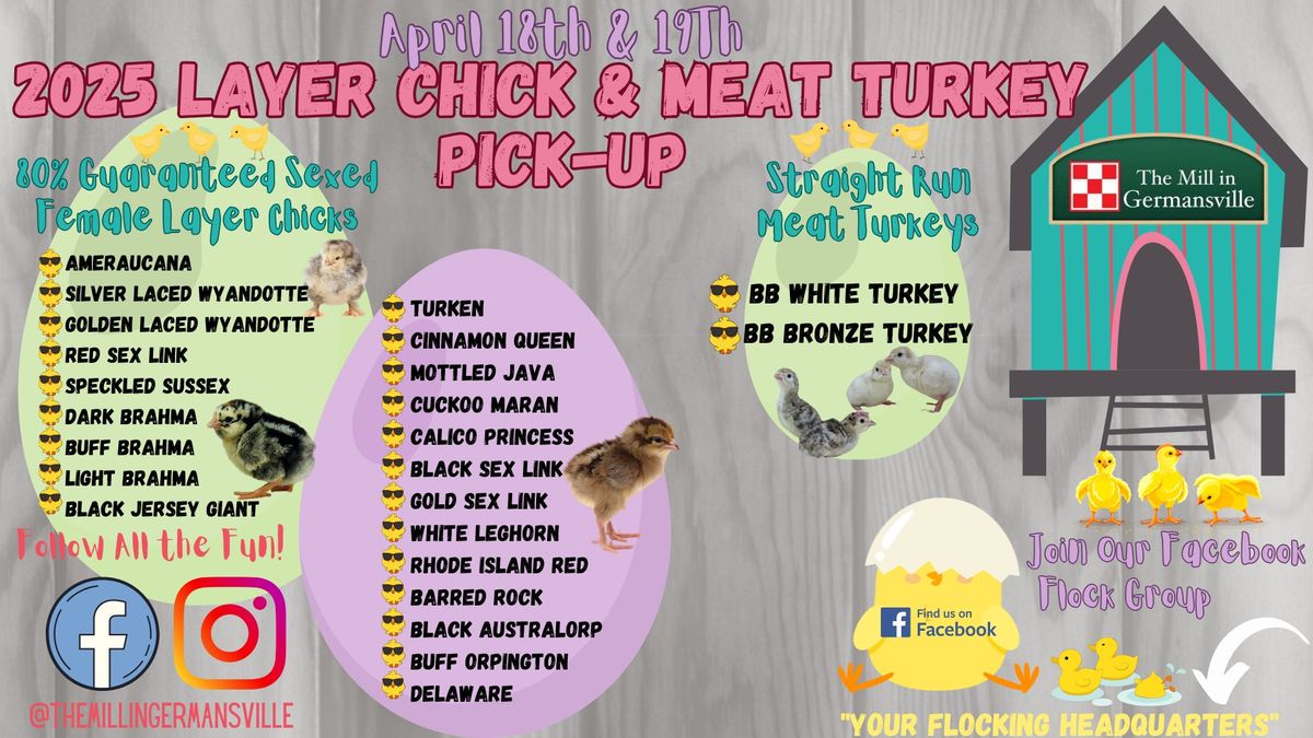 2025 Layer Chick & Meat Turkey Pick-Up 