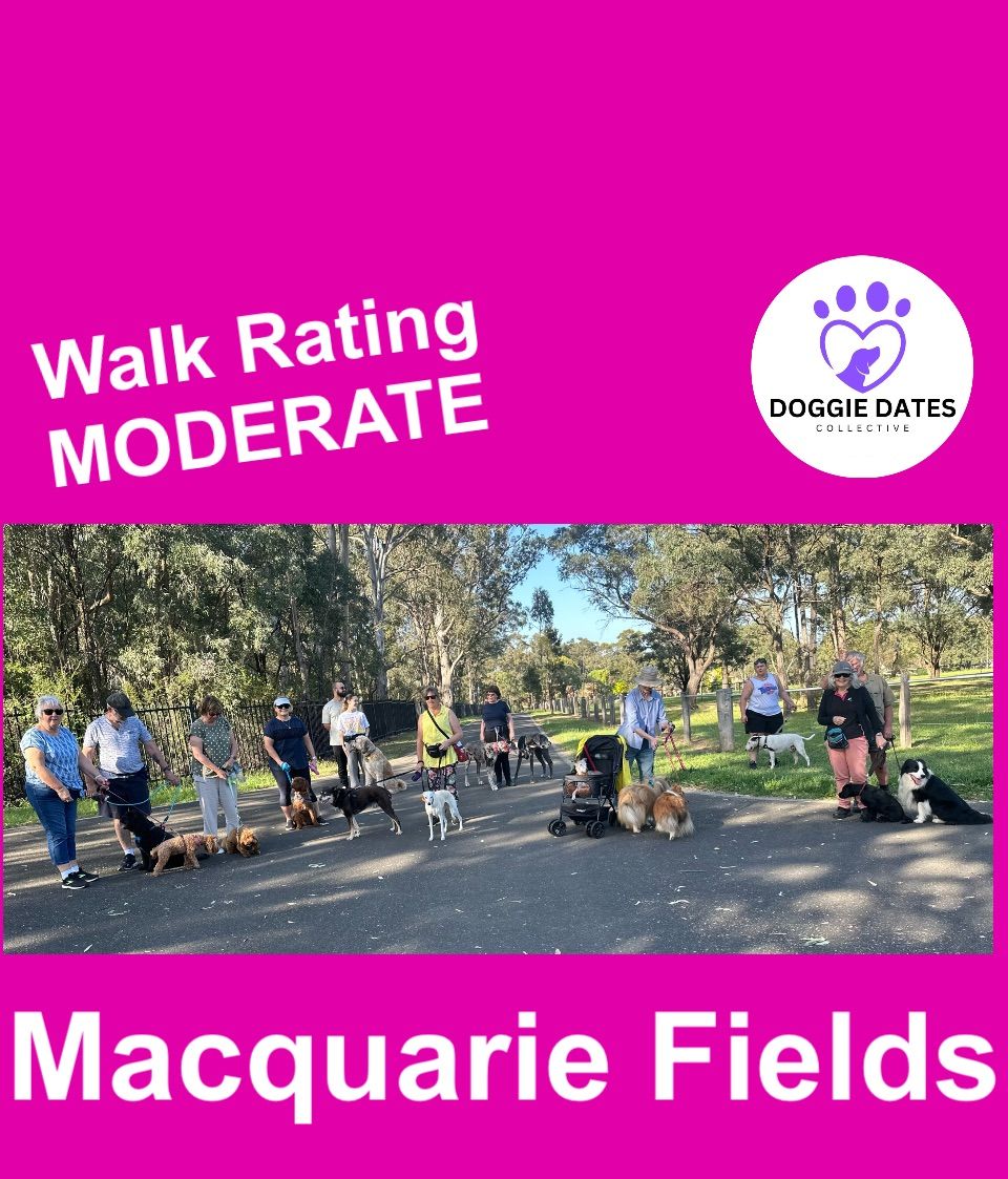 Macquarie Fields, Thursday, Weekly