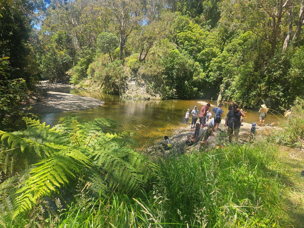 FULLY BOOKED - Family Shiny with Frank - Akatarawa Forest- Bi-Monthly Trip