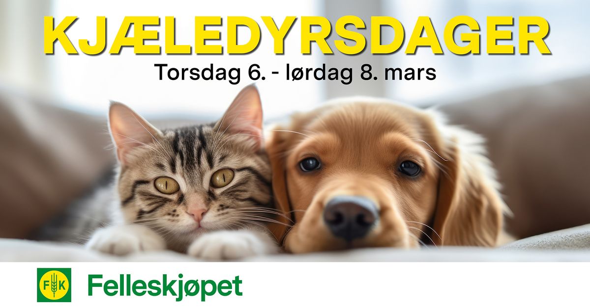 Kj\u00e6ledyrsdager hos Felleskj\u00f8pet Trondheim