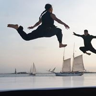 SEAD Salzburg Experimental Academy of Dance