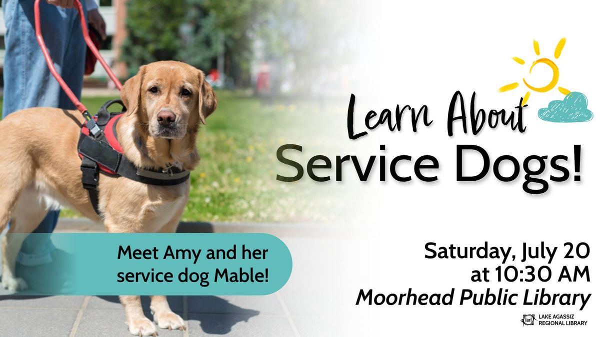 Learn About Service Dogs!  Meet Amy and her service dog Mable 