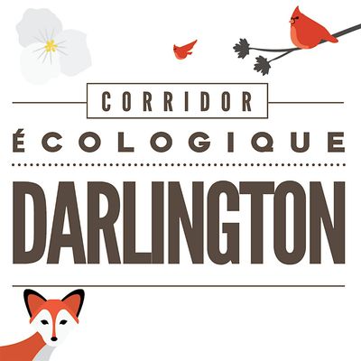 Corridor \u00c9cologuique Darlington