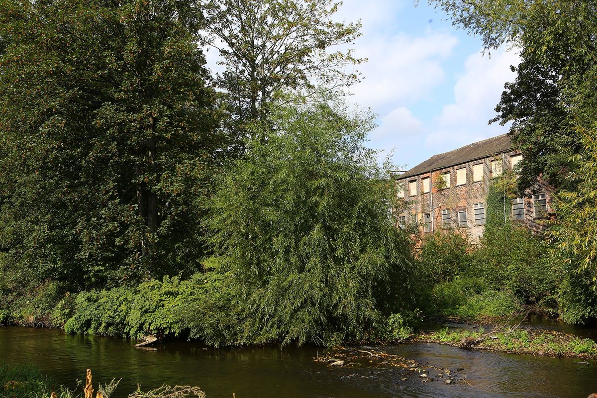 Mindful River Walk