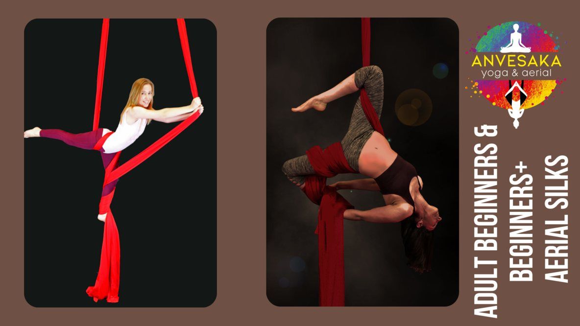 Stockton - Wednesday 7.15pm Beginners and Beginners+ Aerial Silks