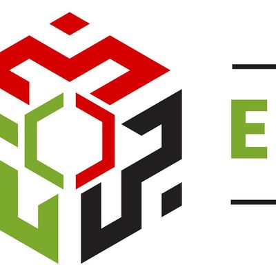 The Eclectic Group LLC