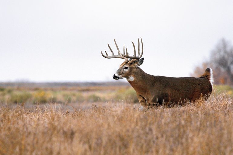 Madison County Hunter Safety Field Day