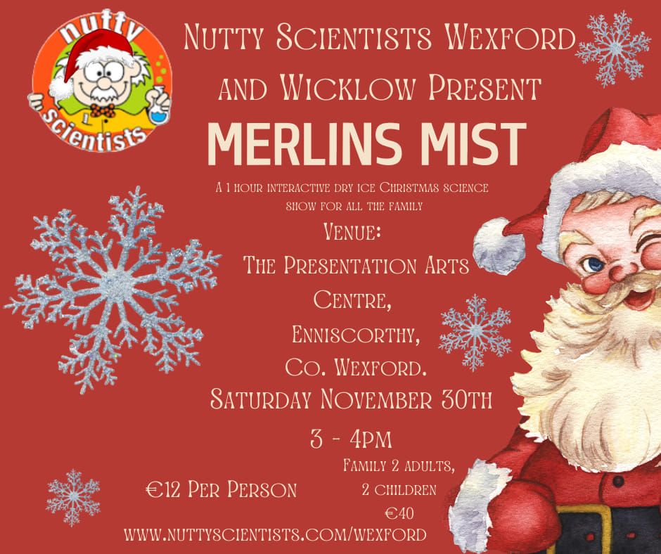 Merlins Mist Christmas Science Show. 