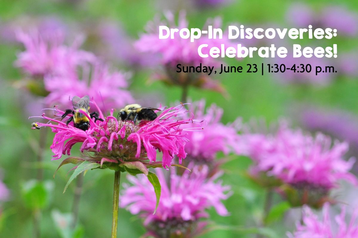 Drop-In Discoveries: Celebrate Bees!