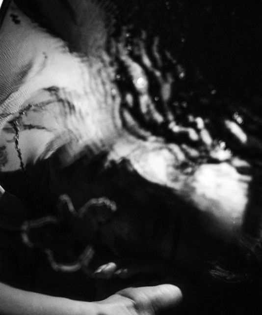 Mavi in London, Scala, London, 13 November 2024