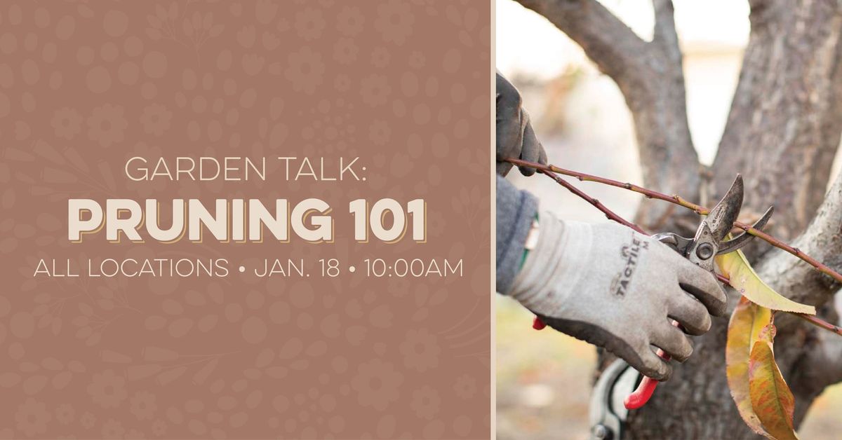 Garden Talk: Pruning 101 | All Locations