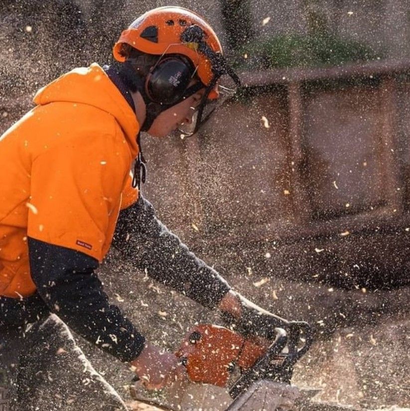 Auckland Chainsaw Course, Auckland, 22 February to 23 February