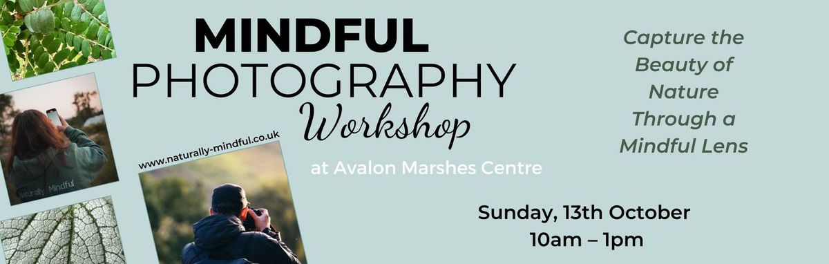 Mindful Photography Workshop - Avalon Marshes Centre