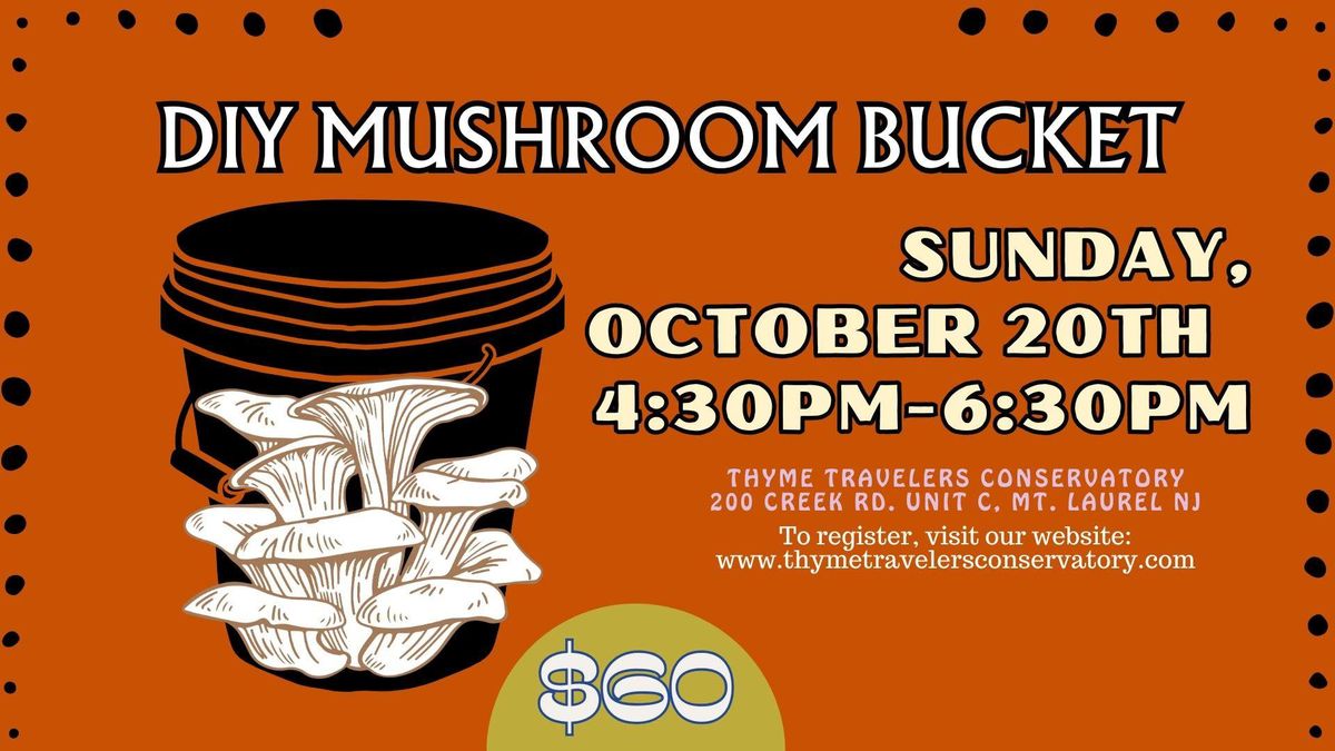 DIY Mushroom Bucket Workshop