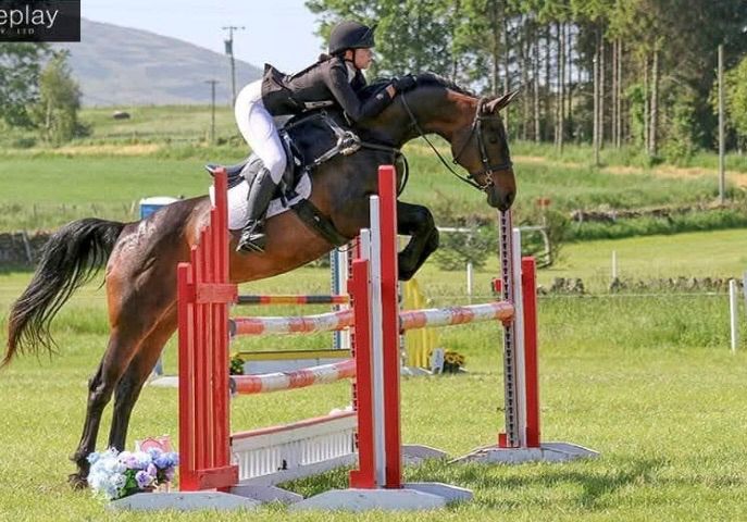 Show Jumping