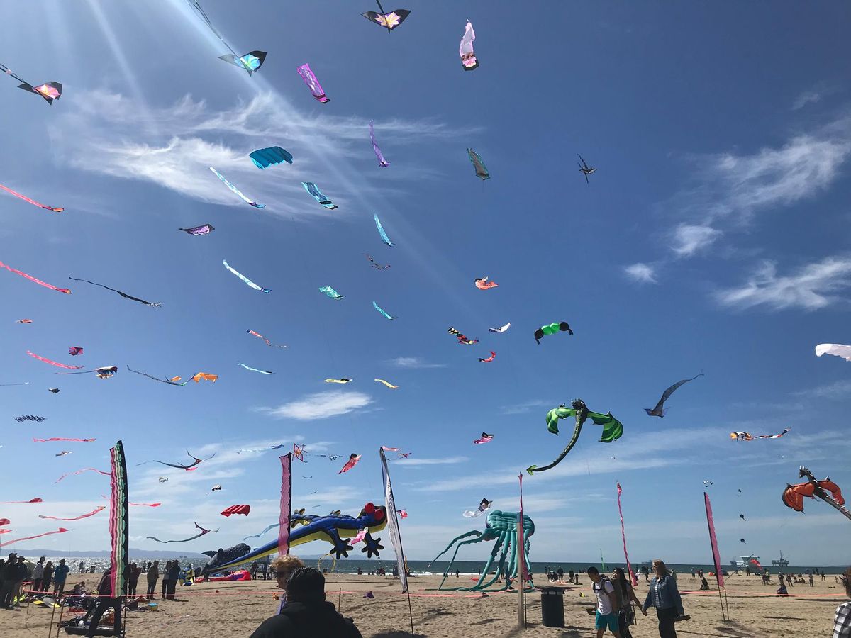 Kite Party 21