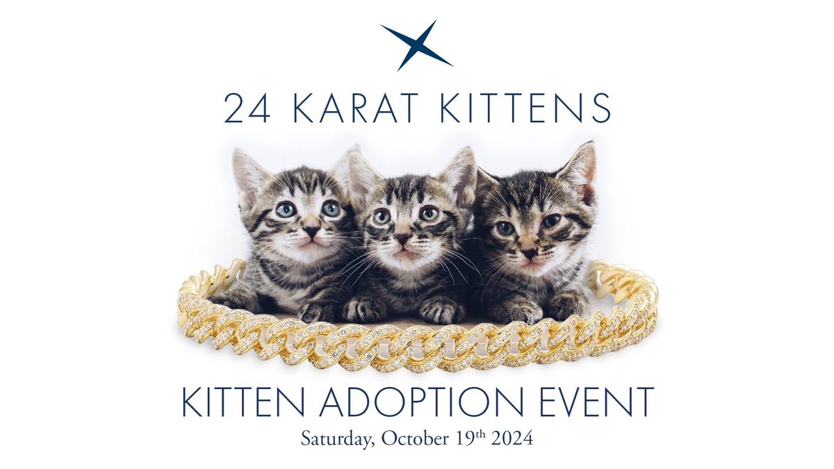 24 Karat Kittens ? Kitten Adoption Event