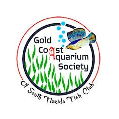 Gold Coast Aquarium Society