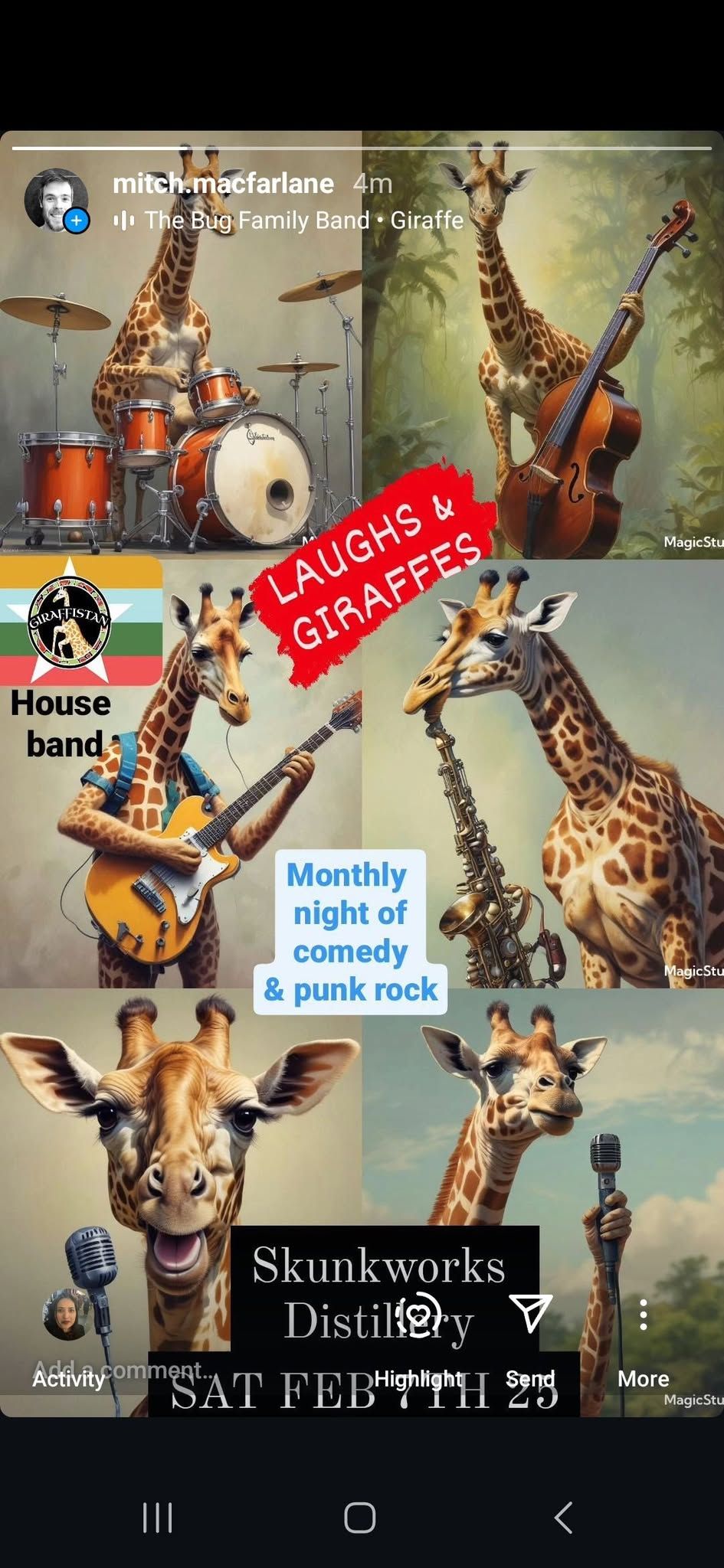 LAUGHS & GIRAFFES - Punk & Comedy