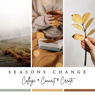 Seasons Change   collage-connect-create