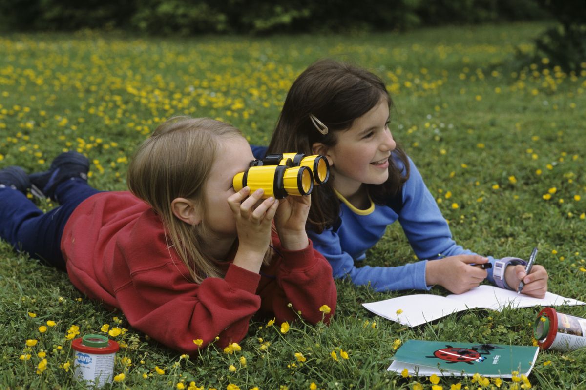 Nature journaling for kids