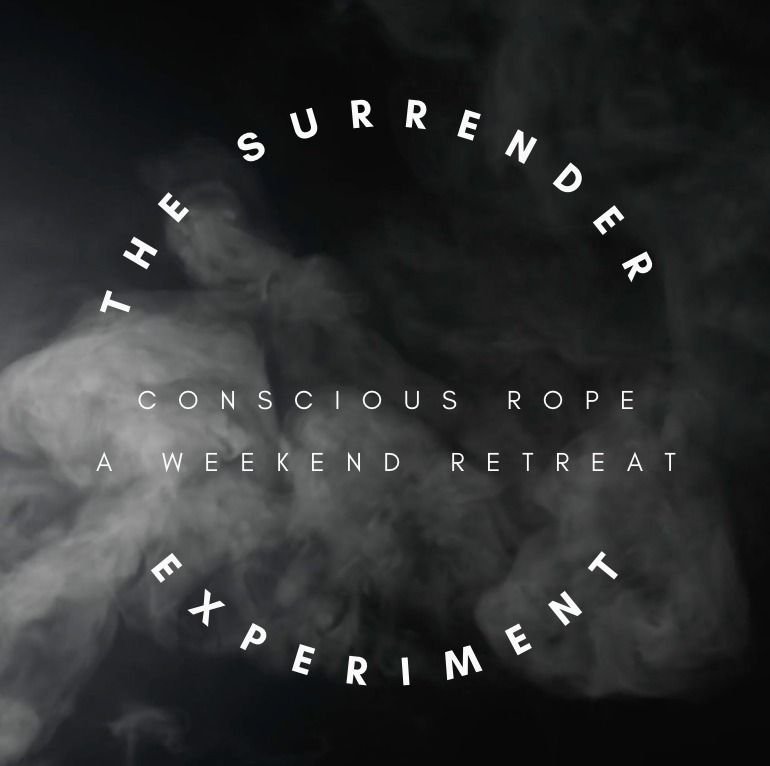 THE  SURRENDER  EXPERIMENT 