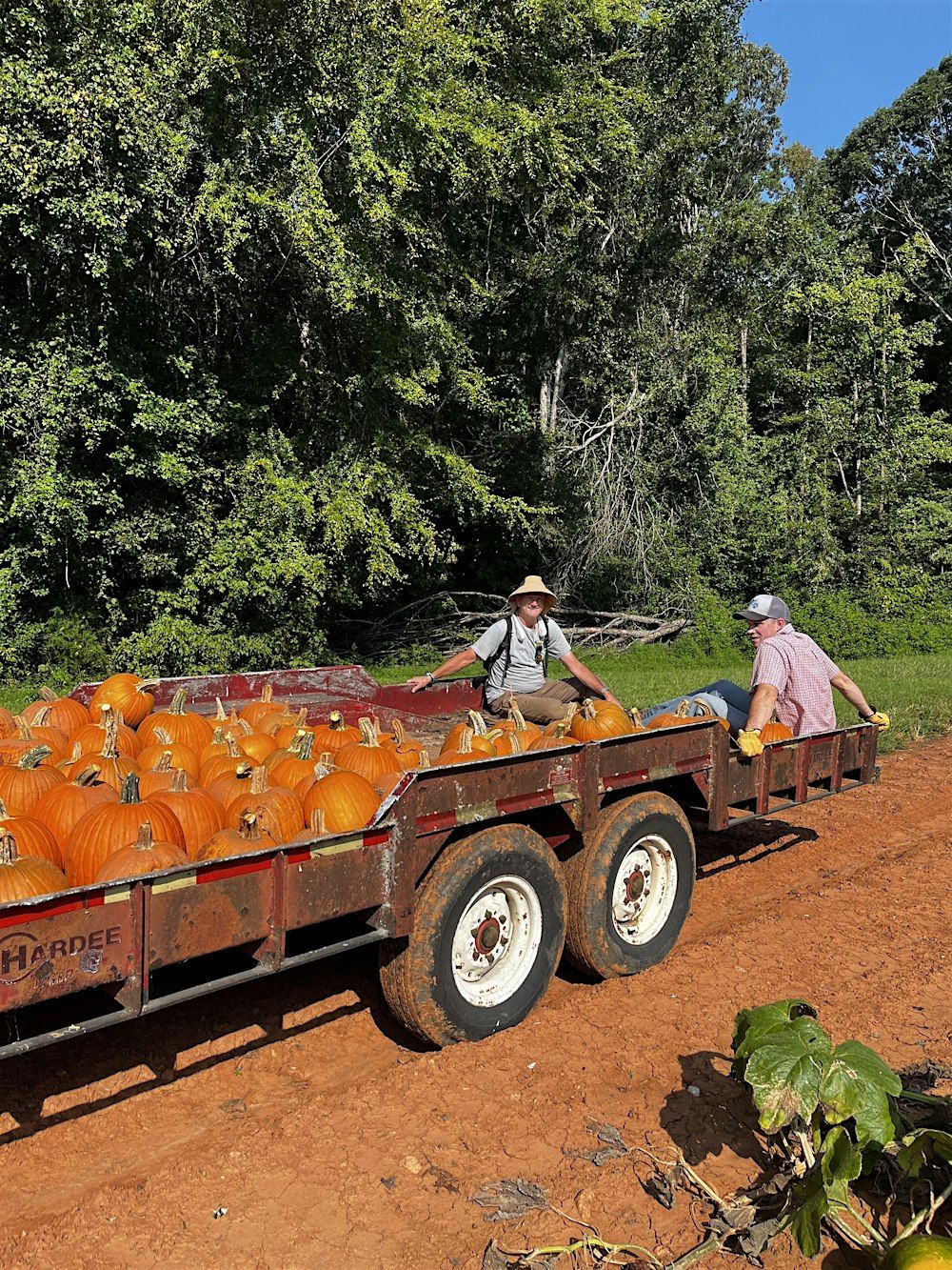 Pumpkin Field Day and Demonstration