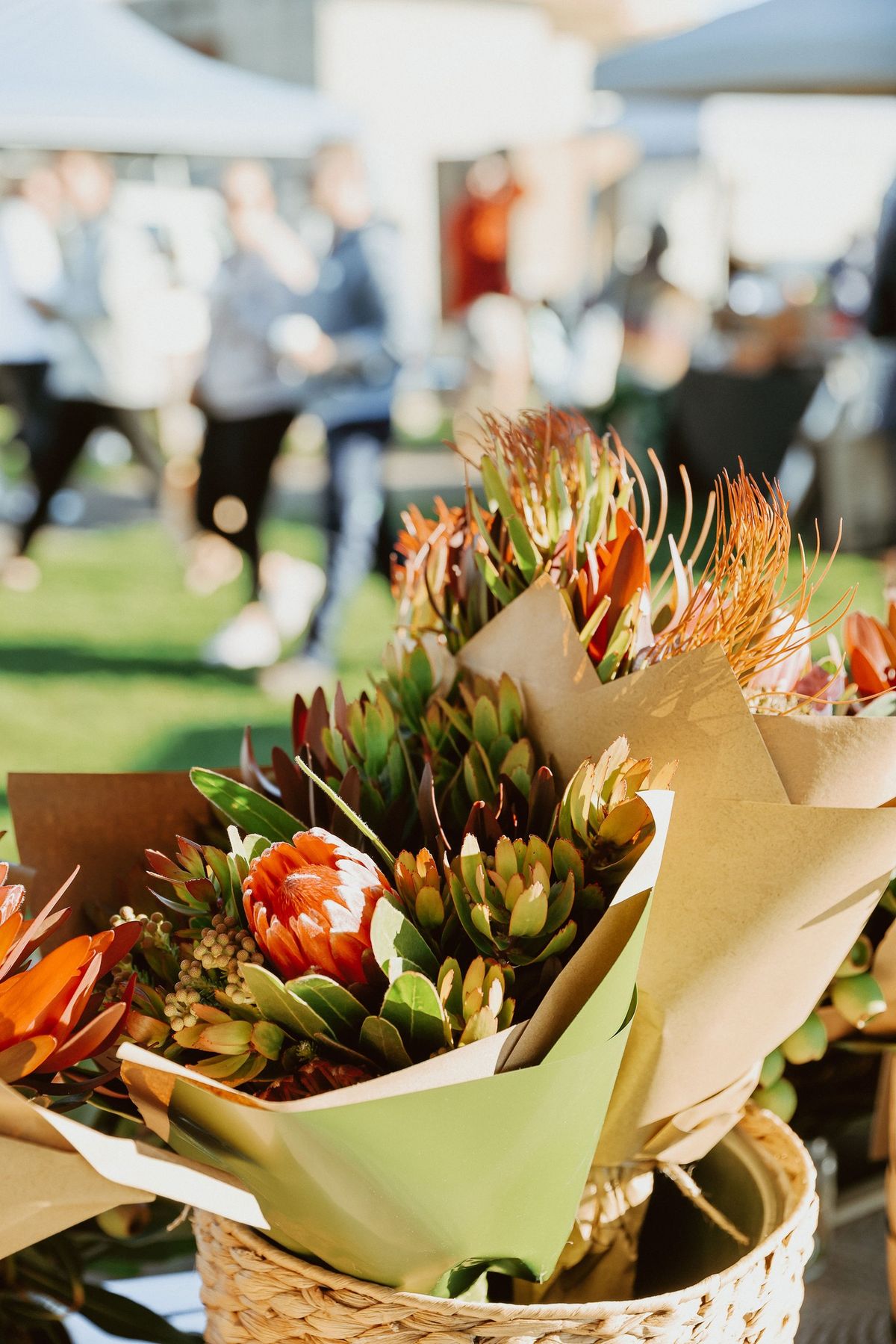 Devonport Farmers 'Festive' Market 