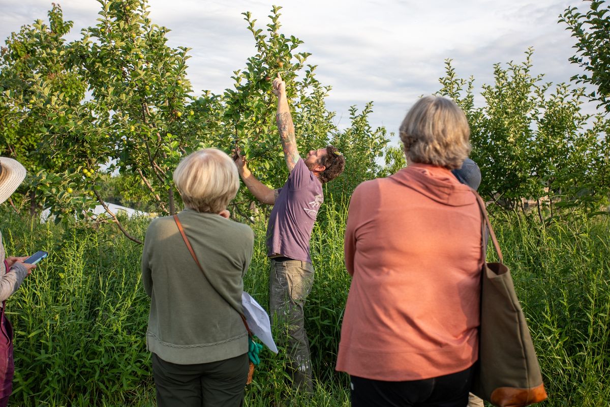 Summertime Fruit Tree Care Workshop