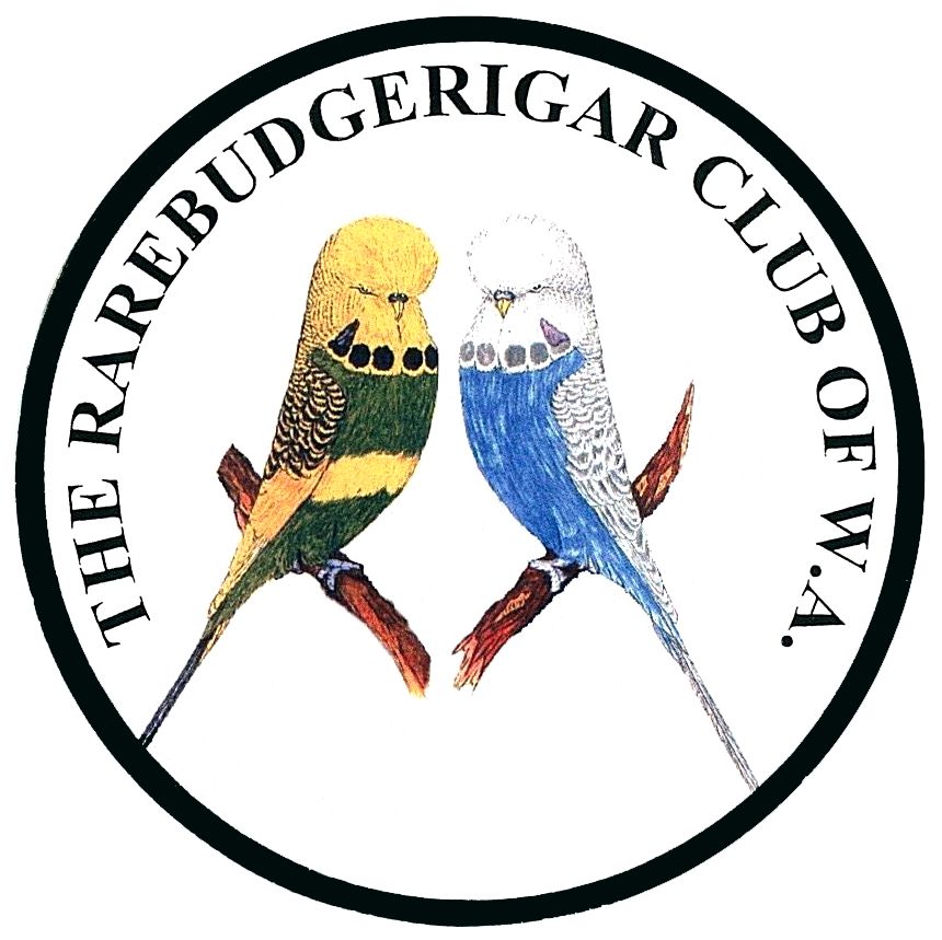 RARE BUDGERIGAR CLUB OF WA (INC)