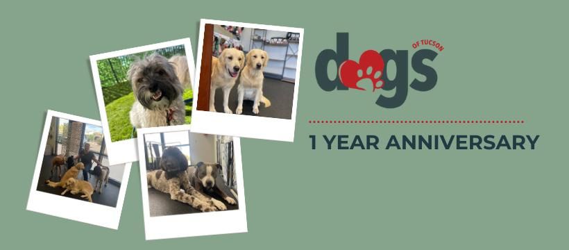 1 Year Anniversary Paw-ty!