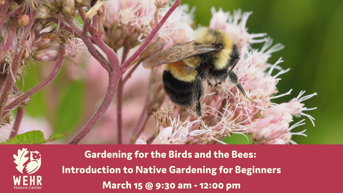 Gardening for the Birds and the Bees: Introduction to Native Gardening for Beginners