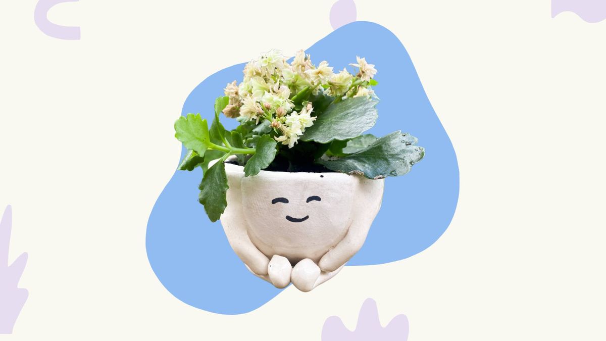 PWAP X Blu Dot: Make Your Own Plant Pot Pottery Class \u2014 8\/11 (Boston MA)