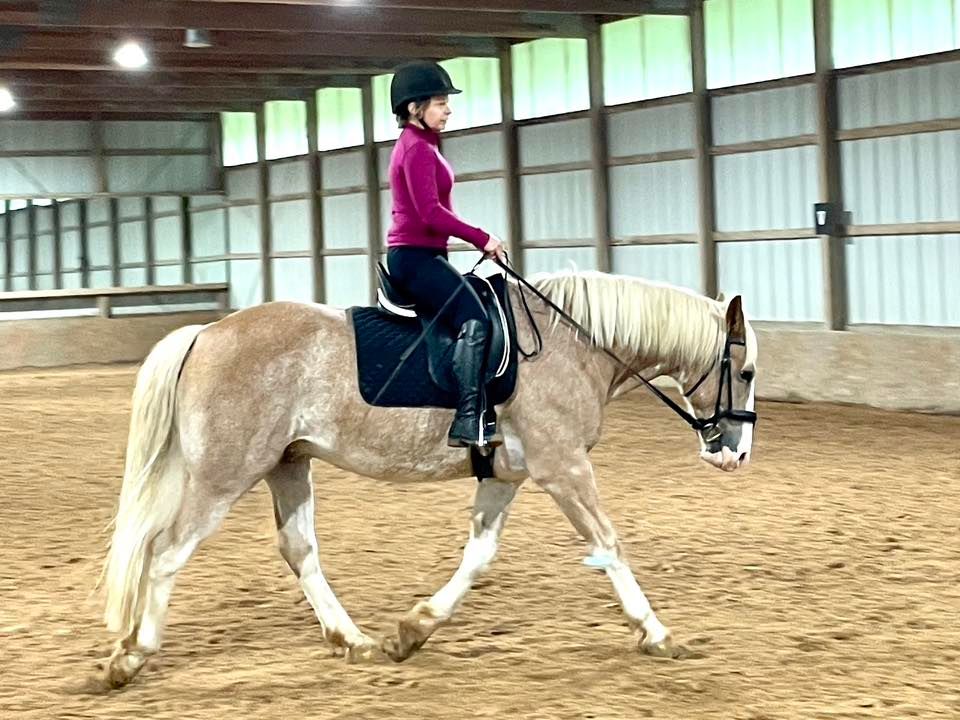 Riding clinic with Will Faerber