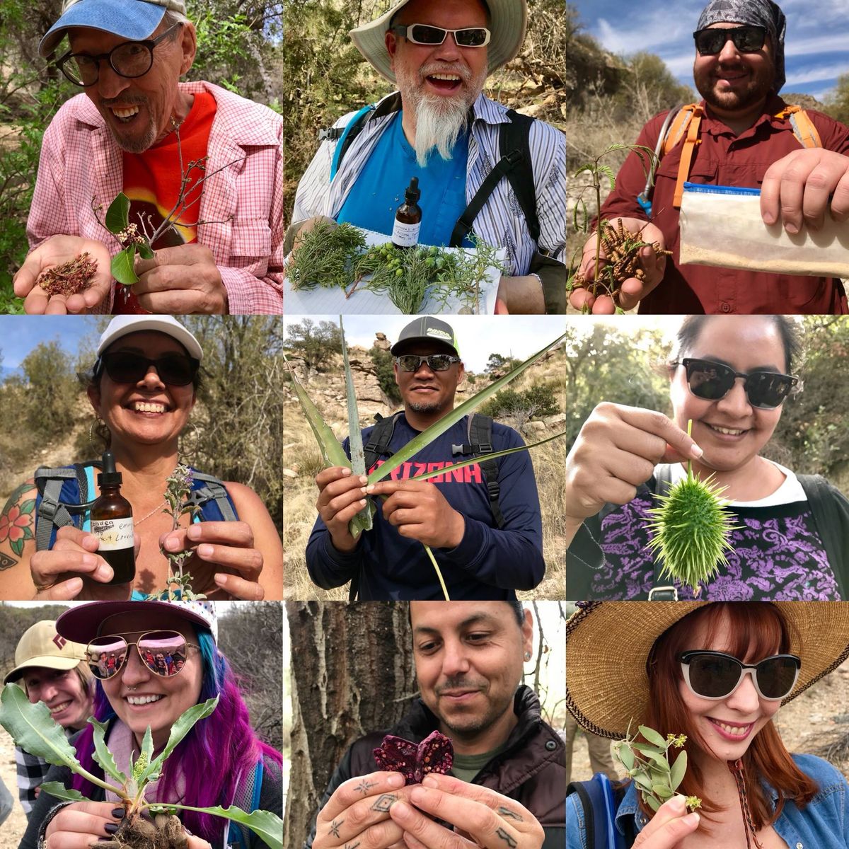 Edible & Medicinal Plants of the Sonoran Desert: Phoenix Area