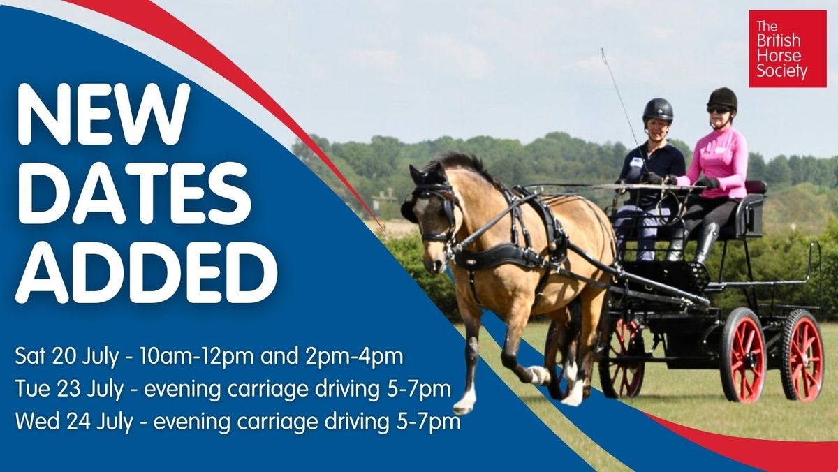 Have a go at .... Carriage Driving