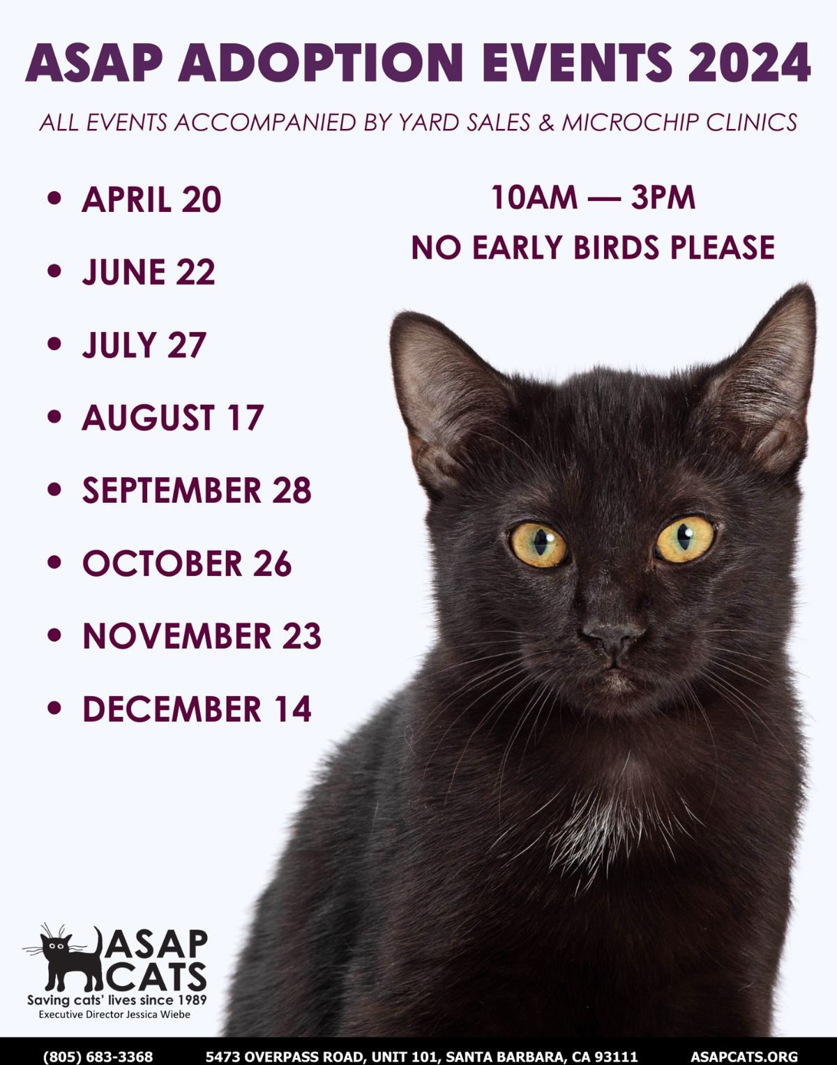 ASAP Cats Yard Sales & Adoption Events 